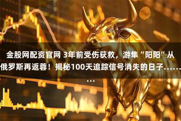 金股网配资官网 3年前受伤获救，游隼“阳阳”从俄罗斯再返蓉！揭秘100天追踪信号消失的日子……